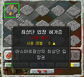 최상단 입장 허가증