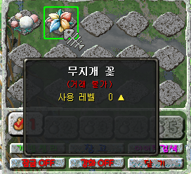 무지개 꽃