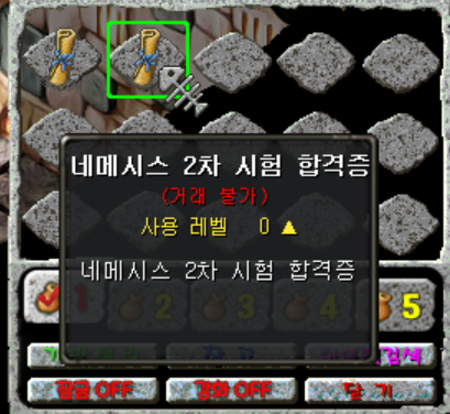 네메시스 2차시험 합격증