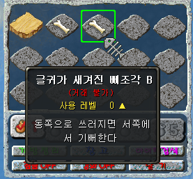 글귀가 새겨진 뼈조각 B