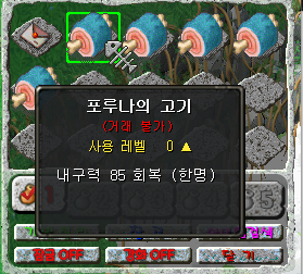 포루나의 고기 5개