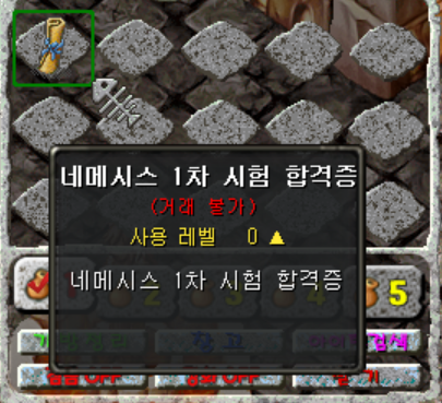 네메시스 1차시험 합격증